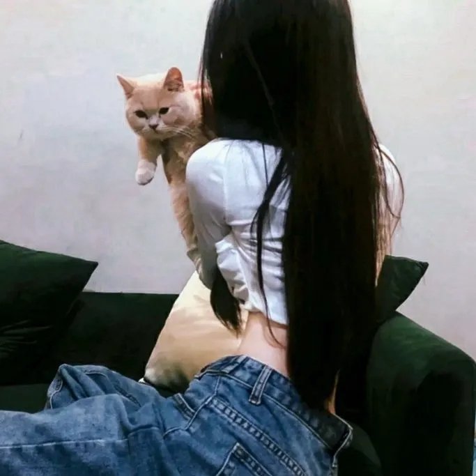 神探忠犬